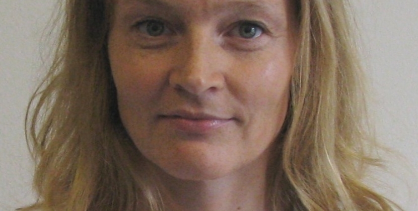 arsinsalitisumbod