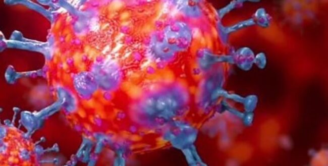 koronavirus