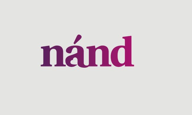 Nand_Designmanual4 (1)